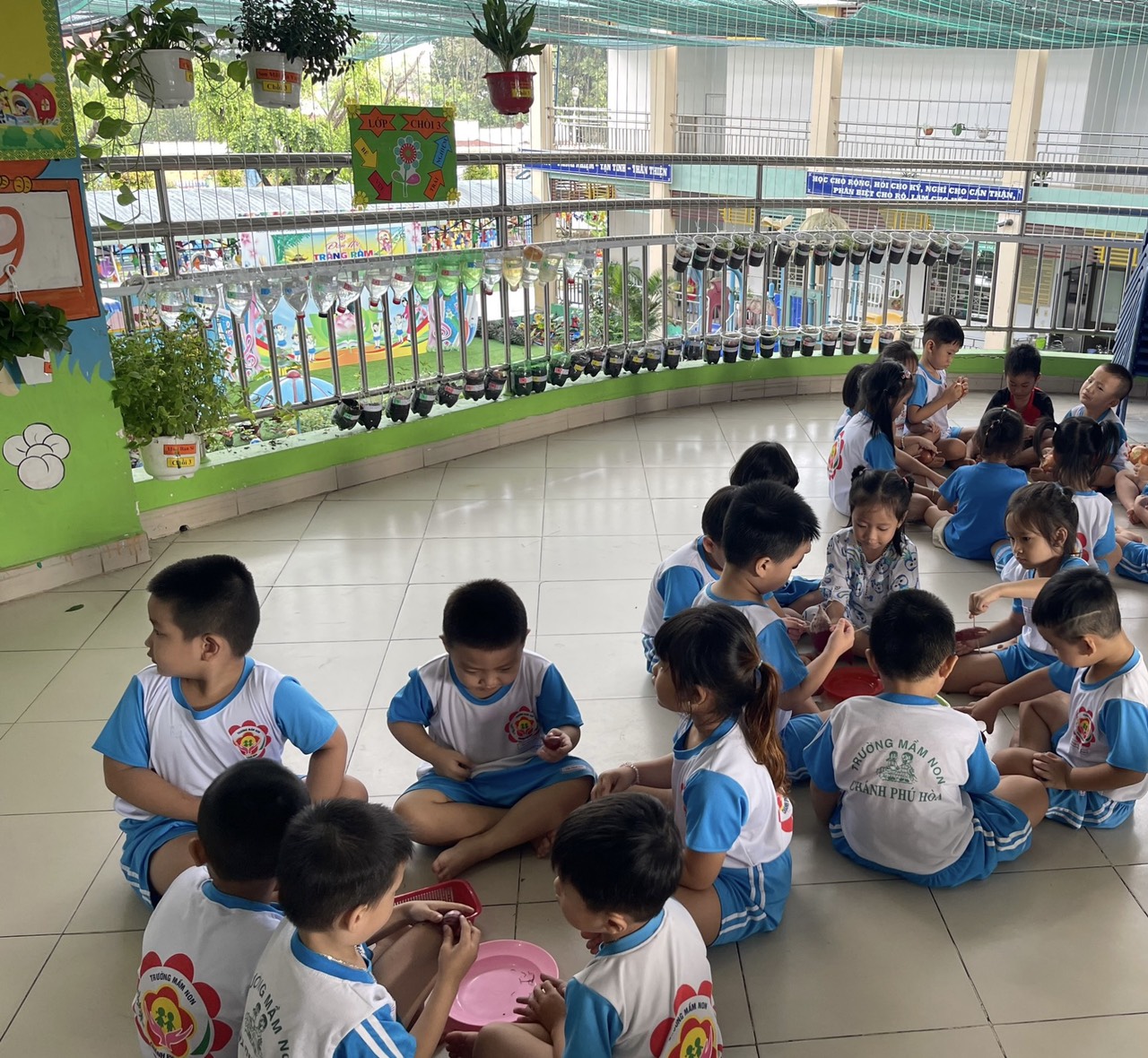 stem 6