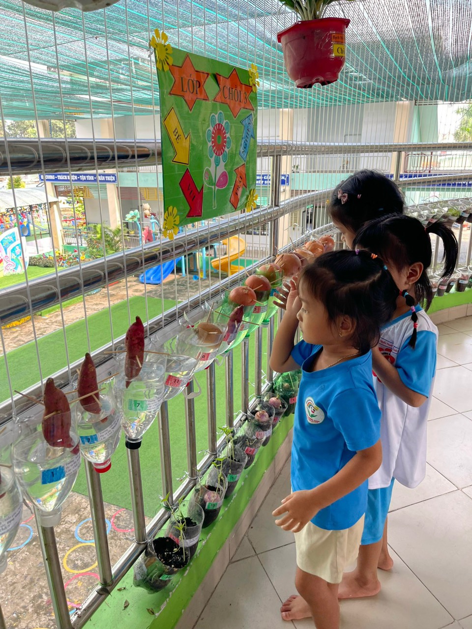 stem 8